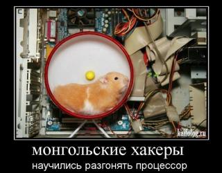 Монгольские хаккеры